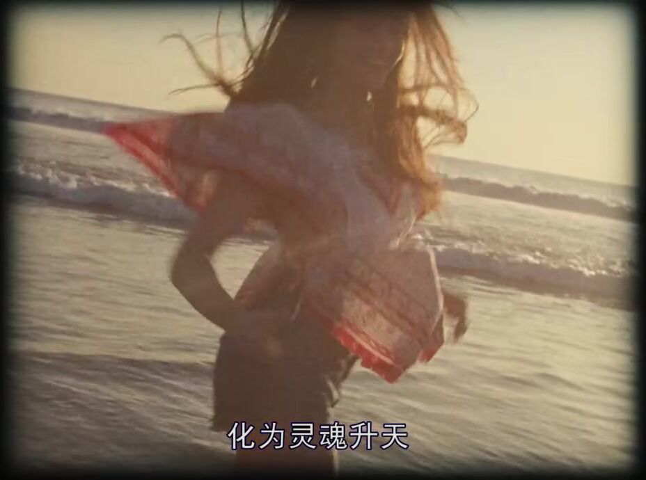 拉芙蕾丝 Lovelace 美国三级